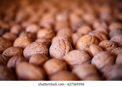 Closeup of a pile of dried walnuts, with selective focus