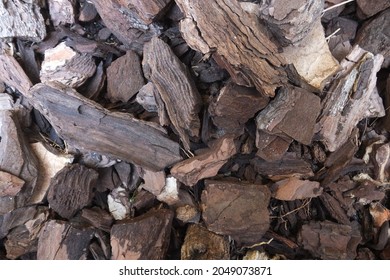 Close-up of pine bark pieces for garden decoration