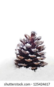 Closeup Of A Pine Cone On The Snow