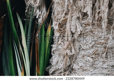 Closeup of pineapple fibers (made from the leaves of pineapple plant) from Southern Mindanao of the Philippines for textile manufacturing. Eco-friendly and animal free raw material. Selective focus. 