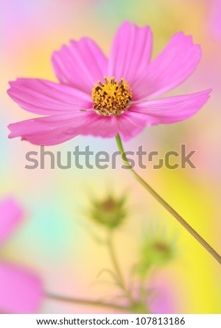 Similar – Image, Stock Photo momentariness Colour photo