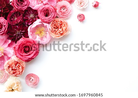 Closeup of pink peony, ranunculus, rose corner frame design with white background and empty space for text or marketing copy, rosebuds, peonies, garden roses, blush floral design