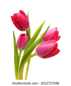 Close-up pink tulips isolated on white - Shutterstock ID 1012717348