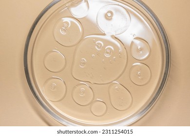 close-up of pipette and petri dish with facial serum gel - Shutterstock ID 2311254015