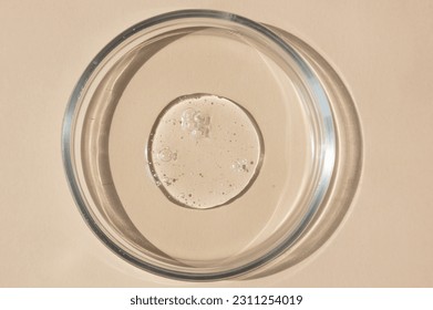 close-up of pipette and petri dish with facial serum gel - Shutterstock ID 2311254019