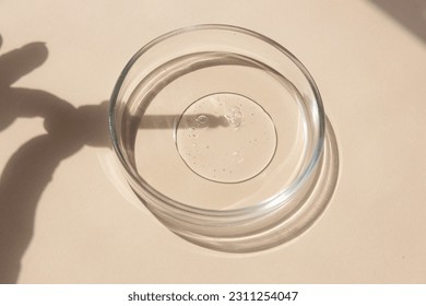 close-up of pipette and petri dish with facial serum gel - Shutterstock ID 2311254047