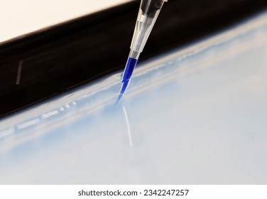 Close-up of a pipette tip loading a DNA or protein sample into an electrophoresis gel used in a  laboratory of genetics, molecular biology, or forensics