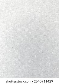 A close-up of a plain white canvas with a subtle, woven texture. The surface has a slightly rough finish typical of primed artist canvas, ideal for painting, digital backgrounds, or mockups.
