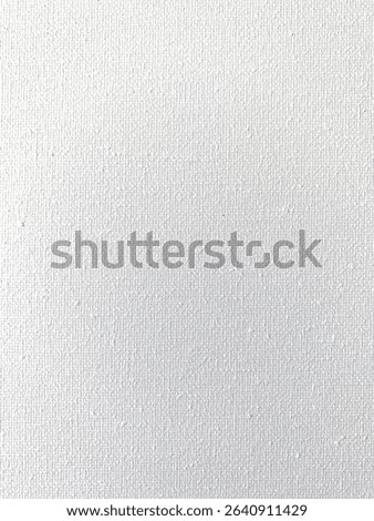 A close-up of a plain white canvas with a subtle, woven texture. The surface has a slightly rough finish typical of primed artist canvas, ideal for painting, digital backgrounds, or mockups.