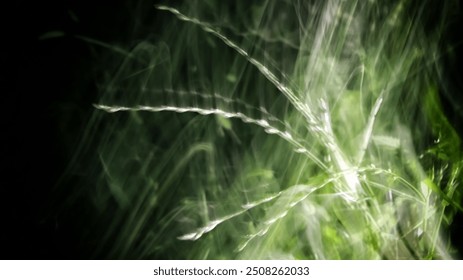 A close-up of plant elements, possibly grass or a similar type of vegetation, with a focus on what appears to be seed heads or feathery plumes
