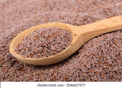 Closeup Of Plantago Ovata; Wooden Spoon, Isolated; 