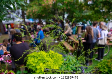 Closeup Of Plants Growing Against Audience And Trees During Event At Garden In City With Selective Focus At World And Spoken Word Festival