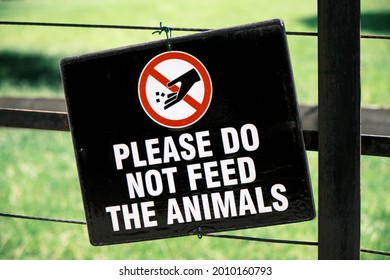 Close-up of Please Do Not Feed The Animals sign hung on a fence. Green grass in the background.