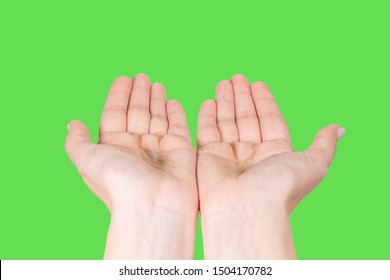 Closeup point of view image of two female opened cupped hand in gesture as if holding something virtual or invisible or asking something. Beautiful 2 female hands isolated on green background.
