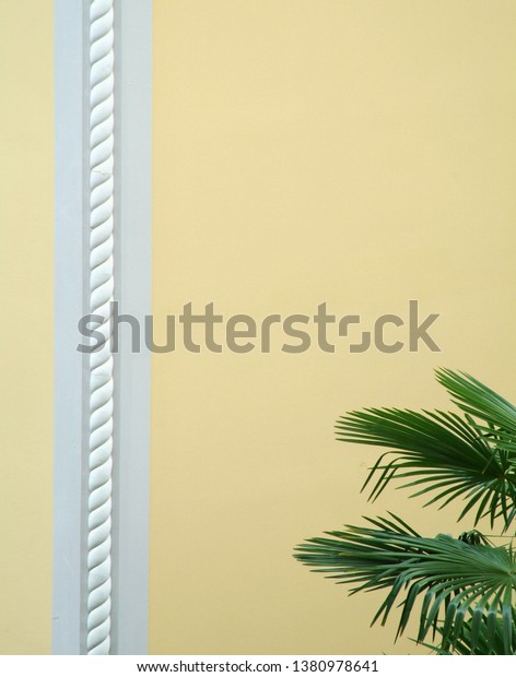 palm frond rope