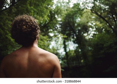 見上げる 後ろ姿 の画像 写真素材 ベクター画像 Shutterstock