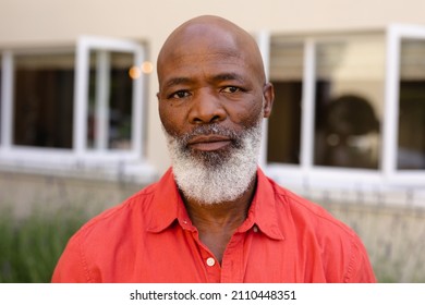 Close-up Portrait Of Bald Bearded African American Senior Man Standing Outdoors. People And Emotions Concept, Unaltered.