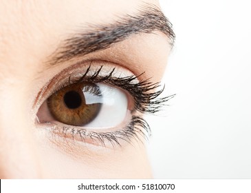 Close-up portrait of a beautiful female eye