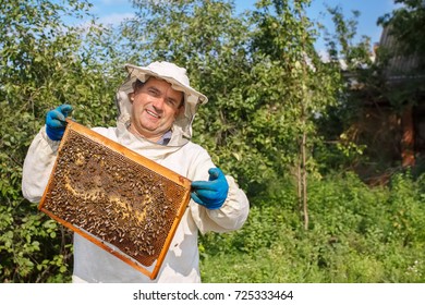 closeup portrait of beekeeper holding a honeycomb full of bees - Powered by Shutterstock