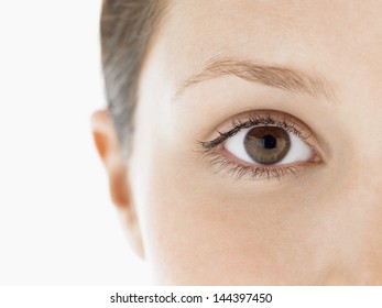 茶色の目 High Res Stock Images Shutterstock