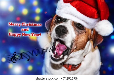 Close-up Portrait Of Funny Dog Jack Russell Terrier Singing An Ancient Christmas Song. A Card Merry Christmas And Happy New Year. The Ancient Music Notes