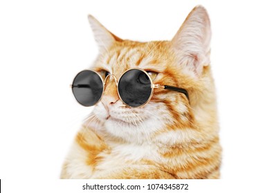 Closeup portrait of funny ginger cat wearing sunglasses isolated on white. Shallow focus. - Shutterstock ID 1074345872