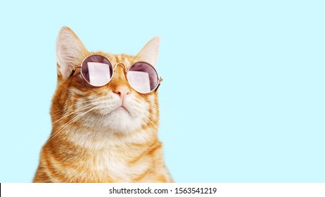 Портрет забавного рыжего кота крупным планом в солнцезащитных очках, изолированных на светло-голубом. Кописпейс.