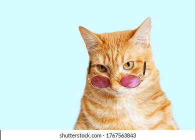Closeup portrait of funny ginger cat wearing sunglasses isolated on light cyan. Copyspace. - Shutterstock ID 1767563843