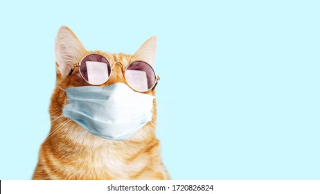 Closeup portrait of ginger cat wearing sunglasses and protective medical mask isolated on light cyan. Copyspace.