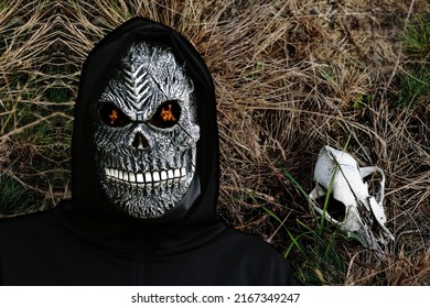 Close-up Portrait Of Grim Reaper. Man In Death Mask With Fire Flame In Eyes On Dark Dry Grass With Animal Skull Background. Carnival Costume, Creepy Teeth. Halloween Holiday Concept. Dark Horror.