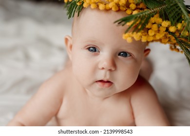 closeup portrait of a newborn baby lying on a white bed with a sprig of mimosa. happy carefree infancy. products for children, natural materials. space for text. High quality photo