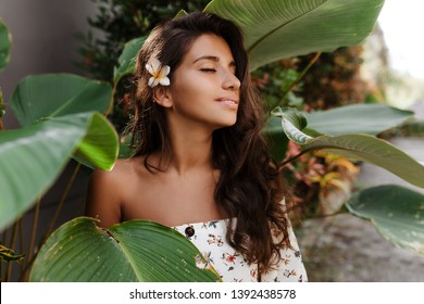 Close-up portrait of pacified woman with flower in dark wavy hair. Lady with slight smile and closed eyes posing against backdrop of tropical plant - Powered by Shutterstock