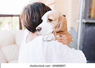 Close-up Portrait Of Sad Beagle Dog Looking Away Over Shoulder Of Brunette Girl. Woman In White Attire With Short Brown Hair Holding Big Puppy And Carrying Him Home.