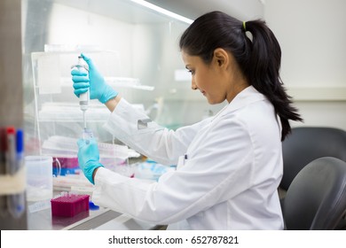 Closeup portrait, scientist pipetting from 50 mL conical tube with blue liquid solution, performing laboratory experiments, isolated lab . Forensics, genetics, microbiology, biochemistry - Powered by Shutterstock