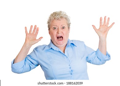 Closeup Portrait, Senior Mature Business Woman Looking Shocked, Surprised In Full Disbelief, Hands In Air, Isolated White Background. Negative Human Emotions, Facial Expressions, Feelings, Reaction