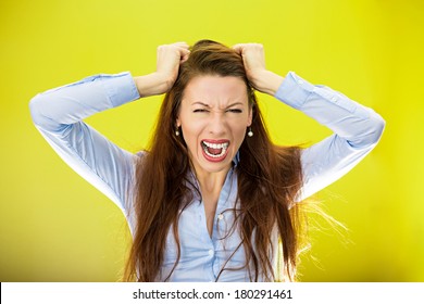 Closeup portrait of stressed business woman, pulling her hair out yelling screaming with temper tantrum isolated on yellow, green background. Negative human emotion facial expression reaction attitude
