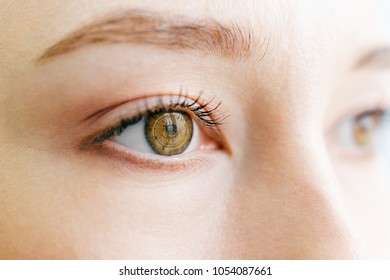Closeup portrait of woman face. Macro of beautiful girl eyes with bitcoin symbol sign in pupil. Cryptocurrency cute female miner looking at window and dreaming of virtual market rates growing success.