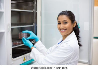 Closeup portrait, young lab researcher holding tissue culture dishes in incubator. Isolated lab background