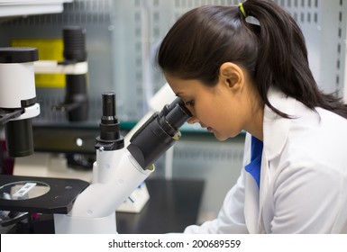 Closeup portrait, young scientist looking into microscope. Isolated lab background. Research and development.