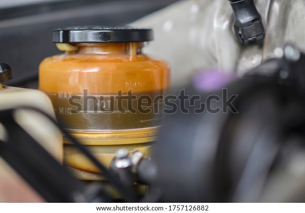 Close-up of \
Power Steering Oil Fluid Reservoir.\

