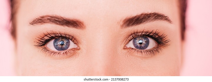 Close-up Of A Pretty Girl's Face With Beautiful Big Blue Eyes, Big Eyelashes And Eyebrows.