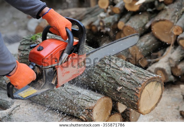 Close-up\
professional chainsaw blade cutting log of\
wood