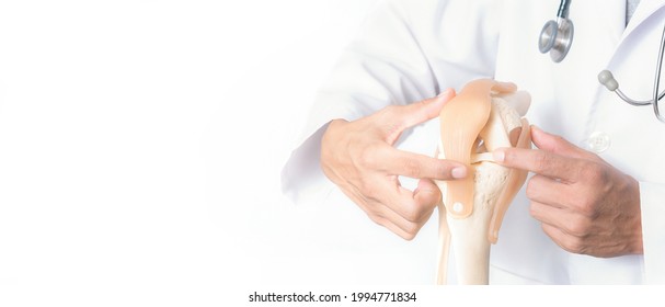 Closeup, Professional Doctor pointed on area of model knee joint, white background, Medical and orthopedic concept. Image with a soft focus, Copy space - Shutterstock ID 1994771834