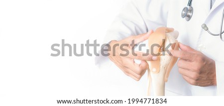 Closeup, Professional Doctor pointed on area of model knee joint, white background, Medical and orthopedic concept. Image with a soft focus, Copy space