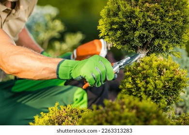 Closeup of Professional Gardener's Hand with Pruning Shears Trimming the Decorative Tree. Garden Landscape Maintenance. - Powered by Shutterstock