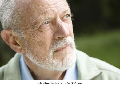 Closeup Profile On An Old Man With A Grey Beard