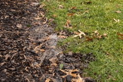 Close-up With A Puddle Of Water With Grass And Mulch 