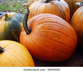 Closeup of Pumpkin