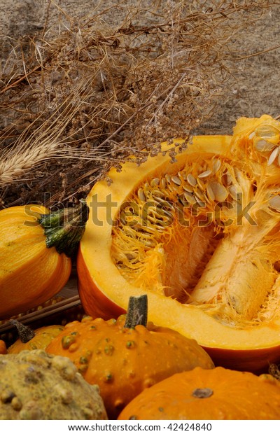 closeup with pumpkins and\
plants
