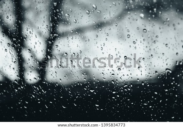 Closeup of rain droplets on\
glass window, water droplets with light reflection and refraction,\
blurred dark autumn landscape, black and white abstract\
background